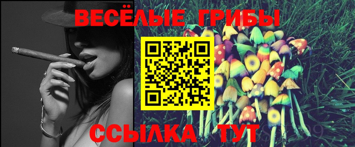 Галлюциногенные грибы мицелий Медногорск
